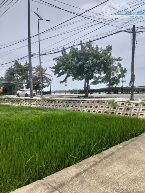 🔥 SIÊU RẺ 🆘 BÁN LÔ ĐẤT TUYỆT ĐẸP VIEW LÚA VIEW SÔNG HÙNG VƯƠNG 💥💥💥 - 2