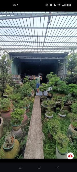 NHÀ+ XƯỞNG NHỊ BÌNH HÓC MÔN- 9×56- SỔ CN 383M2+ TẶNG THÊM PHẦN GIẤY TAY TỔNG 510M2. - 3