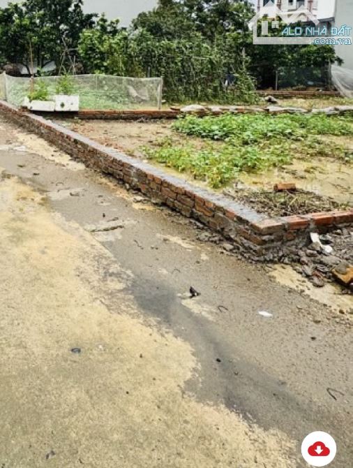 BẤT ĐỘNG SẢN -Hà NỘI -PHẠM TÍN   🏡 CẦN BÁN GẤP ĐẤT TẠI THÔN BẮC VỌNG  – XÃ BẮC PHÚ – SÓC - 3