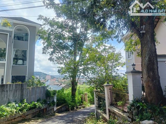 Biệt thự nguyễn Trung trực - P4 Đà lạt - 28 tỷ - view siêu đẹp - phong thủy tốt - 3