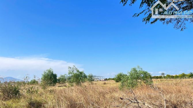 Quỹ Đất Lớn 31000m2 Mặt Tiền 300m Ngay Cụm KCN QH SKC Sổ Riêng Đa Nghành Nghề Trảng Bom - 3