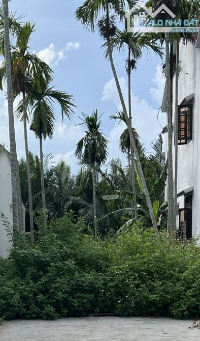 Bán đất khu du lịch rừng dừa Bảy Mẫu Hội An - 3