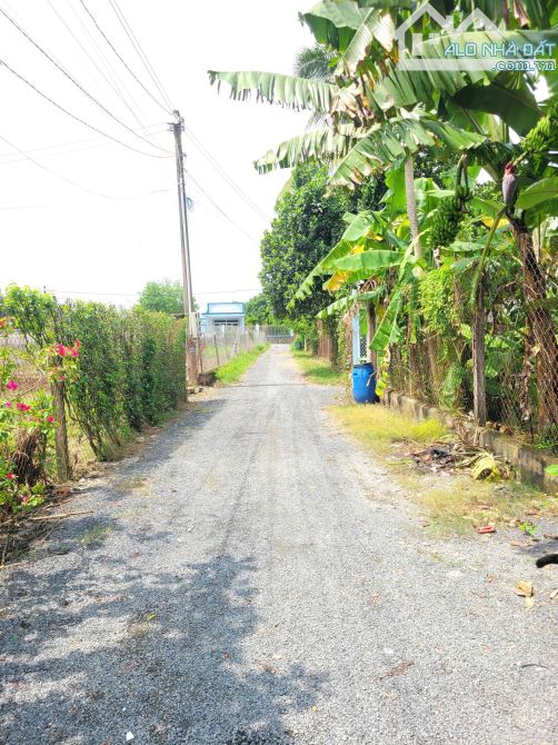 1,85Tỷ TL🔥Bán đất 95m2 cách đường Phạm Văn Diêu 100m, p.Tân Hạnh, Tp.Biên Hòa _Gần Dĩ An - 3