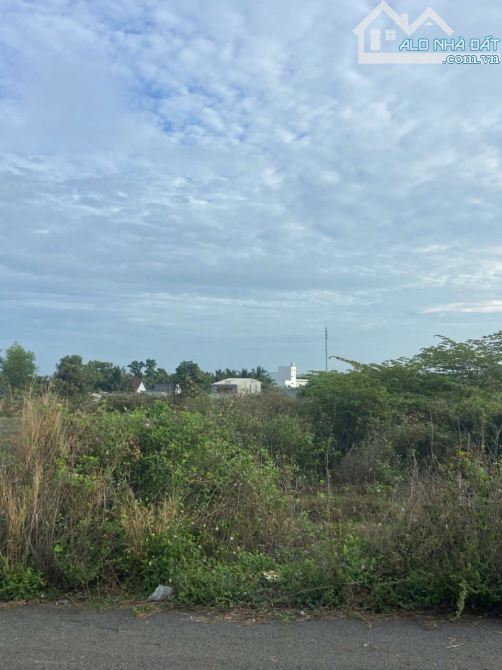 D114 🆘🆘1 lô duy nhất 510m2 mặt tiền nhựa đẹp thông tứ phía - 3