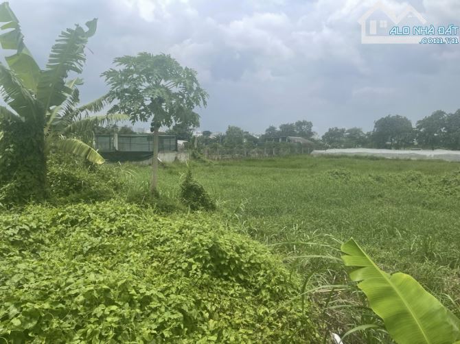 Bán đất MT Phạm Thị Giây 8,268m2 chỉ  99.22 tỷ Thới Tam Thôn Hóc Môn - 3