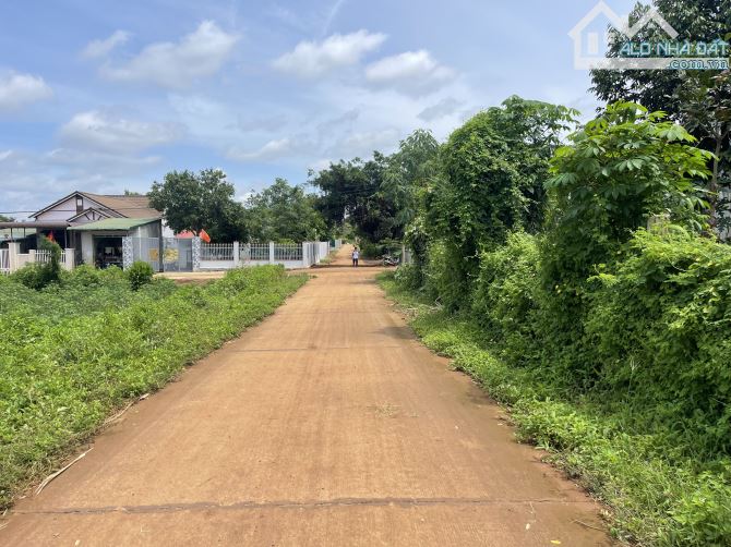Bán đất buôn Kbu Hoà Khánh vị trí đẹp chỉ 540 triệu - 3