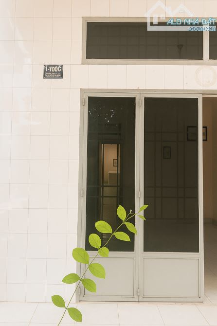 Nhà Cấp 4 Diện Tích Lớn 82m², Lê Văn Việt - Tăng Nhơn Phú B, Thủ Đức – Giá chỉ 3.7 tỷ - 3