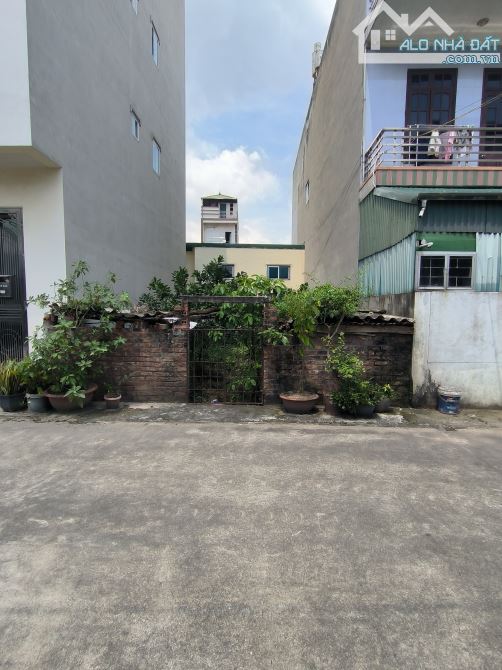 BÁN ĐẤT PHÂN LÔ CỔ BI GIA LÂM 115M2 6MT - Ô TÔ TRÁNH GIÁ NHỈNH 10 TỶ - 3