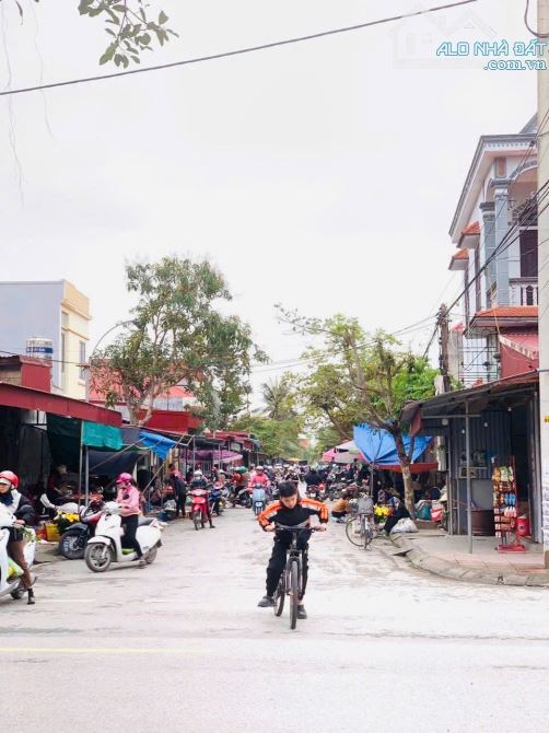 Bán đất Minh Tân - Kiến Thụy - Hải Phòng - 4