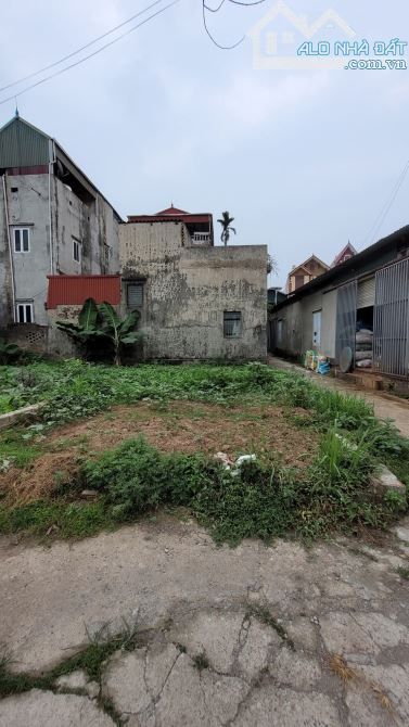Tuyệt đẹp, view sông, lô góc - Nhị Khê, Thường Tín _47m2_ giá chào 3 tỷ - 4