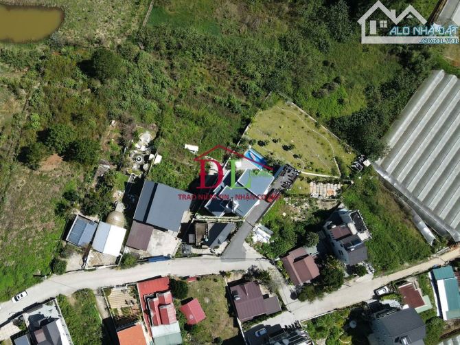 🌲 Bán lô đất Hoàng Hoa Thám, Đà Lạt – 5.013m² có thổ cư, view rừng thông nguyên sinh - 4