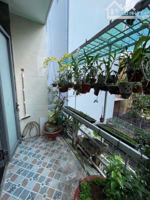 Nở hậu tài lộc 7m65 - Trần Văn Ơn - Tân Sơn Nhì - nhỉnh 6 - 4