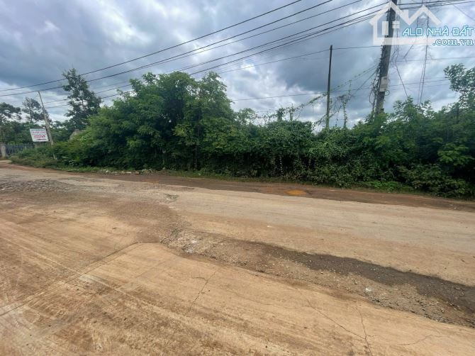 Bán 04 lô liền kề mặt tiền Vành Đai 14/26 đoạn đầu buôn Kotam - 4