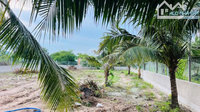 BÁN LÔ ĐẤT 1580M2 SẴN 200M TC ĐẤT ĐÃ ĐƯỢC XÂY CỔNG RÀO KIÊN CỐ XÃ PHƯỚC HẢI ,BRVT - 4