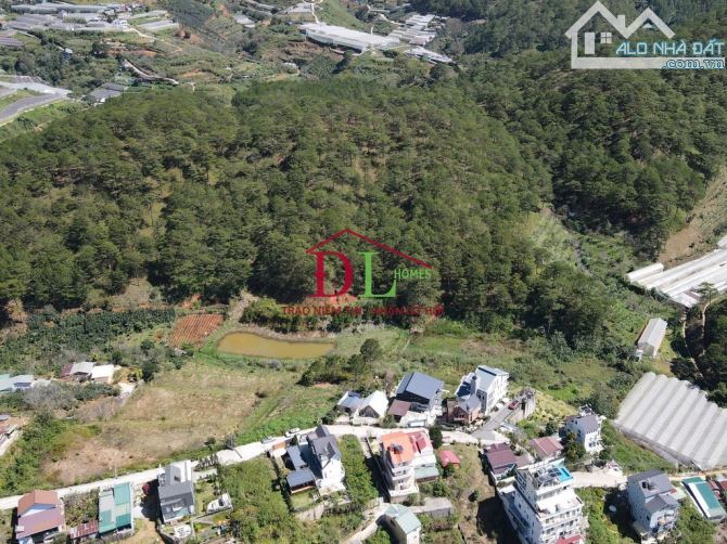 🌲 Bán lô đất Hoàng Hoa Thám, Đà Lạt – 5.013m² có thổ cư, view rừng thông nguyên sinh - 5