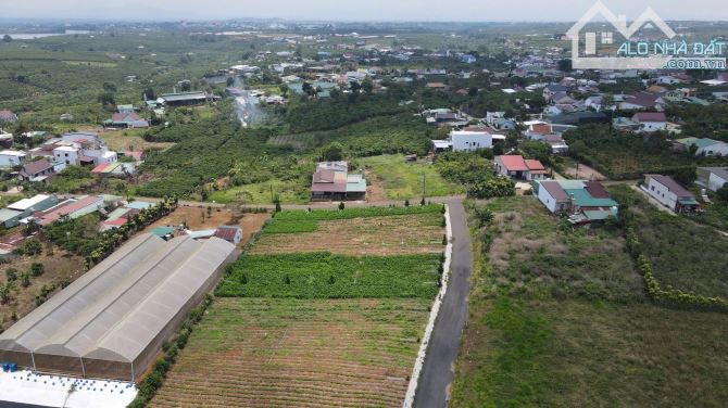 Cần bán đất 500m2 sẵn 100 thổ cư ngay Chợ Lộc Quảng Giá 1,1 tỷ - 5