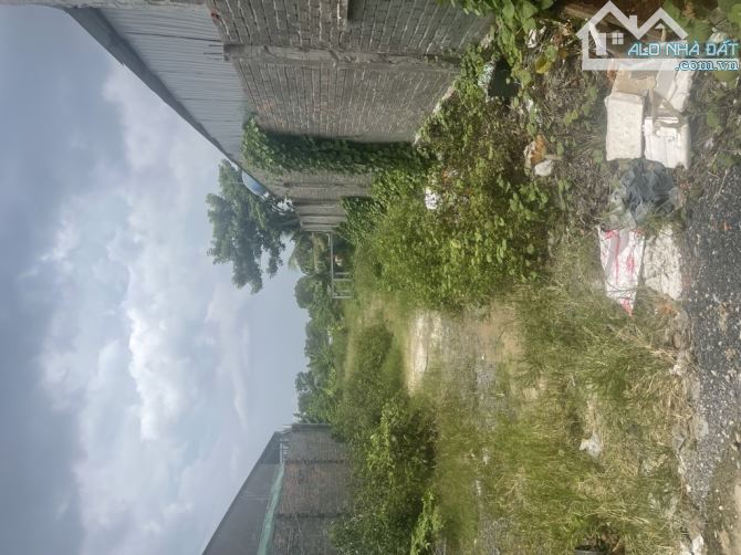 Bán đất MT Phạm Thị Giây 8,268m2 chỉ  99.22 tỷ Thới Tam Thôn Hóc Môn - 5