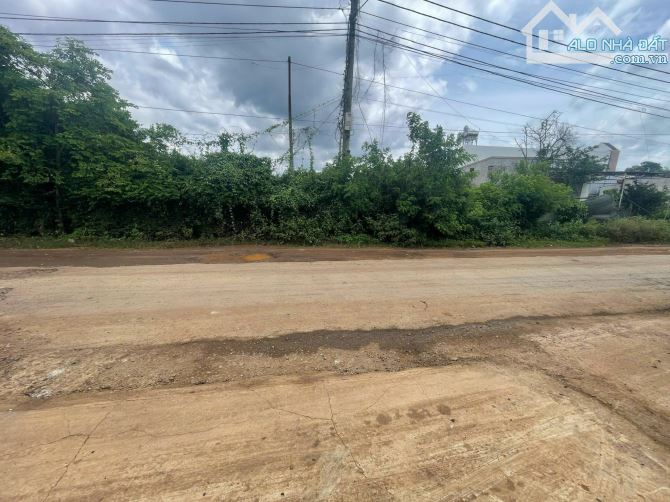 Bán 04 lô liền kề mặt tiền Vành Đai 14/26 đoạn đầu buôn Kotam - 5