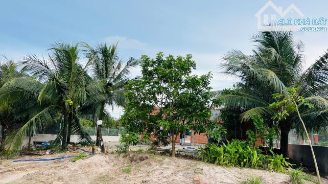 BÁN LÔ ĐẤT 1580M2 SẴN 200M TC ĐẤT ĐÃ ĐƯỢC XÂY CỔNG RÀO KIÊN CỐ XÃ PHƯỚC HẢI ,BRVT - 5