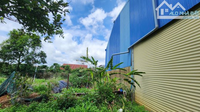 🔥 BÁN GẤP – ĐẤT MẶT TIỀN ĐƯỜNG NHỰA + NHÀ XƯỞNG 800m² 🔥 hơn 2000m2 đất, 5ty - 6