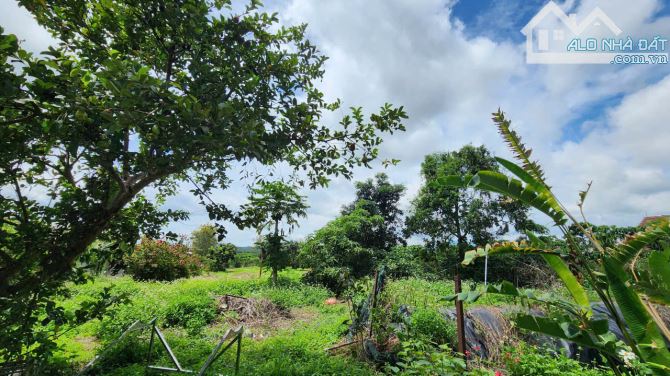 🔥 BÁN GẤP – ĐẤT MẶT TIỀN ĐƯỜNG NHỰA + NHÀ XƯỞNG 800m² 🔥 hơn 2000m2 đất, 5ty - 8