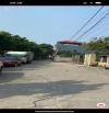 Chính chủ nhờ bán lô góc tại quang minh mê linh hà nội