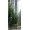 Bán lô đất 4,92 tỷ,  Lê Hồng Phong, Đông Khê, Ngô Quyền