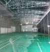 cho thuê mặt bằng làm kho, showroom, mặt tiền đường phạm hùng, cách ql 1A chỉ 100m