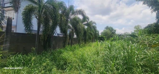 ĐẤT MẶT TIỀN NGUYỄN THỊ SÁU 463m² FULL THỔ – GIÁ CHỈ 14 TỶ – THỚI TAM THÔN, HÓC MÔN - 2