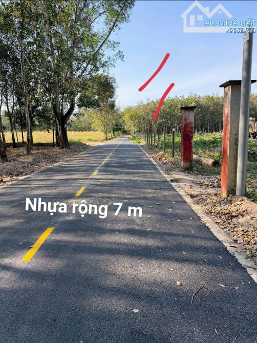 BÁN ĐẤT Fo, MT NHỰA, P.CHÁNH PHÚ HOÀ, TP.BẾN CÁT, DT: 20x55, CTC, SHR, GIÁ 3 TỶ