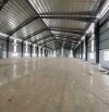 cho thuê xưởng dt 14.000m2 kcn nam thuận long an