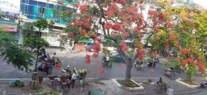 Bán nhà mặt đường Cát Bi, Hải An, HP, 3,5 tầng, 85m². 14,5 tỷ - 3