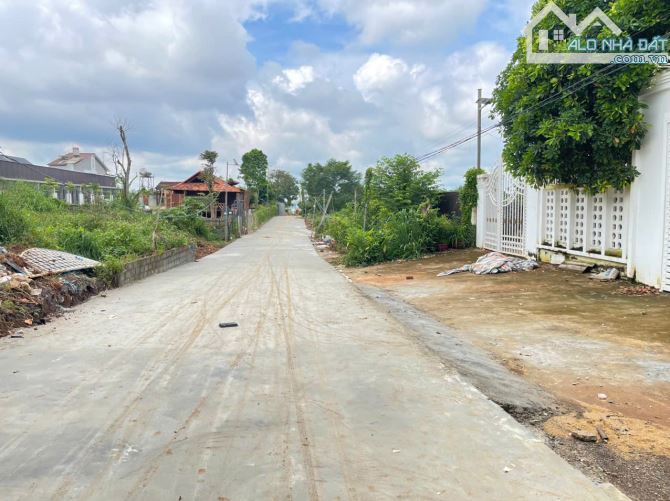 💥Đất TC 5*21m,hẻm Nguyễn Đình Chiểu,ngay Đô Thị Trung Nguyên,Gần nhiều lô khác - 4