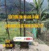 [Thôn Trường Định, Hòa Vang, Đà Nẵng. 554m2, ngang 9.2, bê tông 4m, giá chỉ 4.75 tỷ]