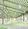 Cho Thuê Kho Xưởng 8000m2 có PCCC Tự Động KCN Tân Kim Cần Giuộc Long An