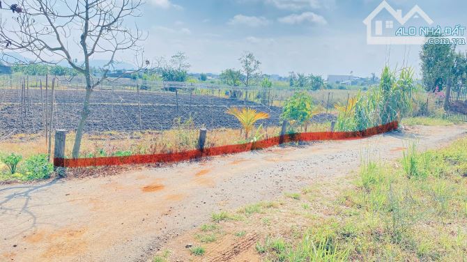 Đất trung tâm đức trọng, lâm đồng, gần hồ nam sơn - 1