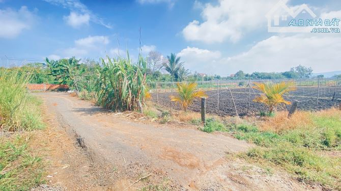Đất trung tâm đức trọng, lâm đồng, gần hồ nam sơn - 3