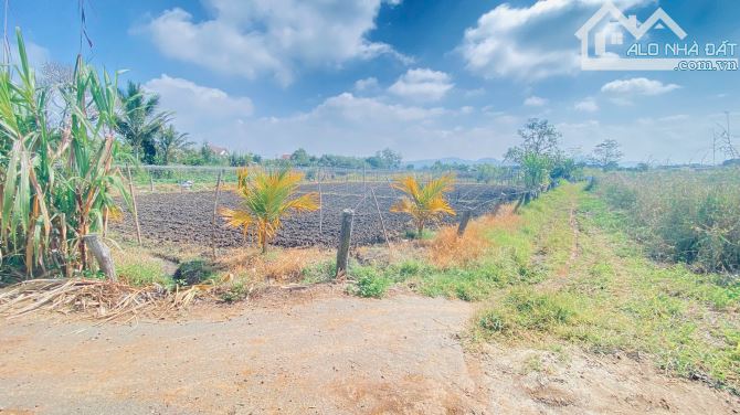Đất trung tâm đức trọng, lâm đồng, gần hồ nam sơn - 4
