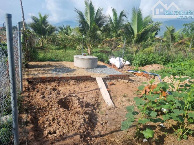 BÁN ĐẤT FULL THỔ NGANG 11M RỘNG 375M CHỈ 6TR/M2 BÌNH LỘC CŨ