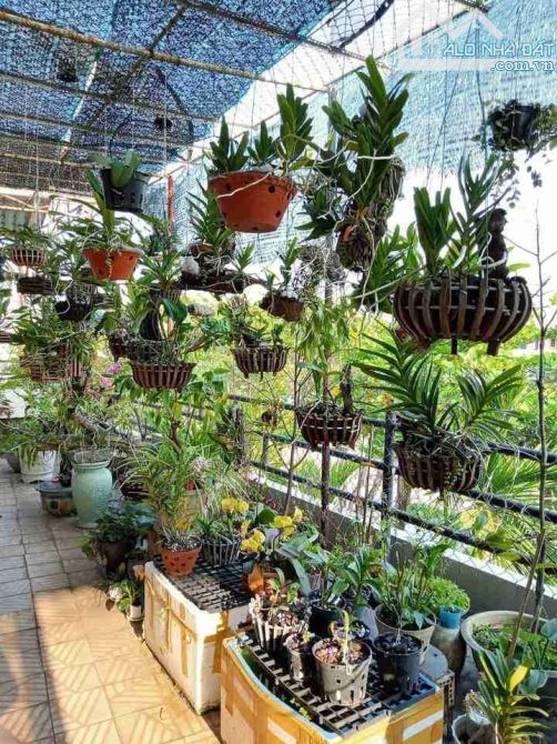 Lô góc 2 mặt tiền trục đường mai hắc đế sơn trà - 1