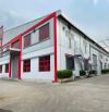CHO THUÊ NHÀ XƯỞNG MỚI XÂY TẠI KCN ĐỨC HOÀ, TỈNH LONG AN