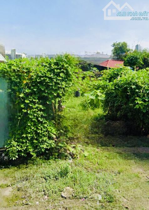 Bán Đất Mặt Tiền Hóc Môn - 470M2 -Full Thổ - Đường 10m Chỉ 10,3Tỷ - 2
