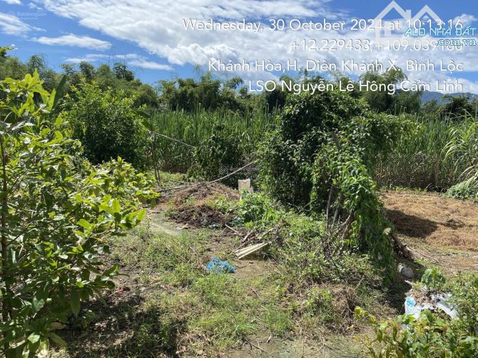 Chính Chủ Bán Lô MT Đường Liên Xã 7m - KDC Hiện Hữu Xã Suối Hiệp - Khánh Hòa - 3