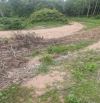 130.000m2 đất bằng phẳng , đang trồng tràm 3 năm, mặt tiền nhiều