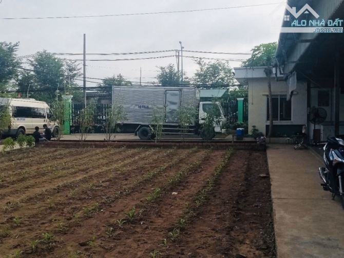 BÁN LÔ ĐẤT 5000M2-2 MẶT TIỀN TRẦN VĂN GIÀU-LÀM KHO XƯỞNG-ĐẦU TƯ-GỌI XEM ĐẤT - 1