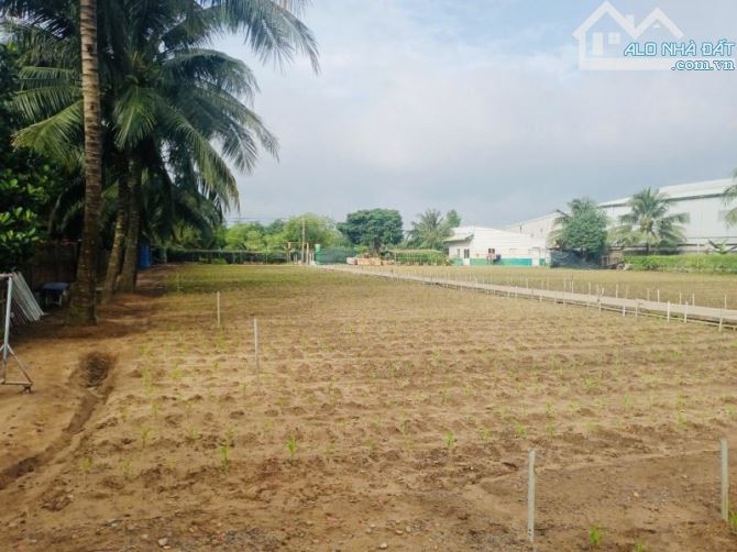 BÁN LÔ ĐẤT 5000M2-2 MẶT TIỀN TRẦN VĂN GIÀU-LÀM KHO XƯỞNG-ĐẦU TƯ-GỌI XEM ĐẤT - 3