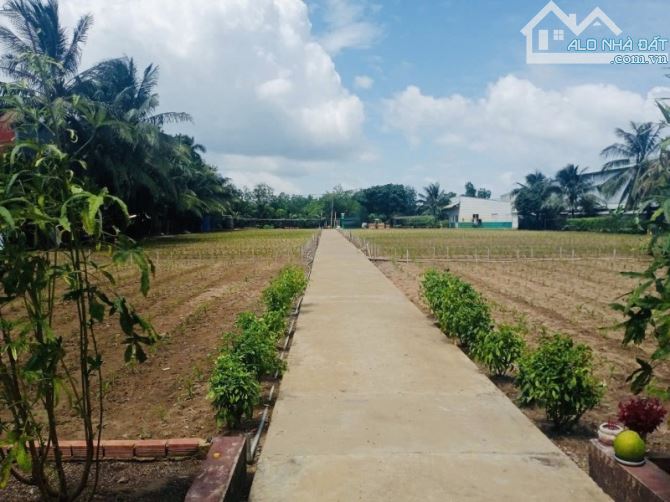 BÁN LÔ ĐẤT 5000M2-2 MẶT TIỀN TRẦN VĂN GIÀU-LÀM KHO XƯỞNG-ĐẦU TƯ-GỌI XEM ĐẤT - 5