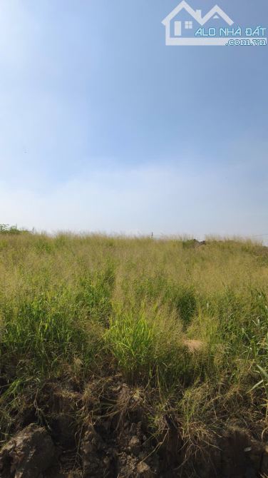 Cần Bán gấp Đất MT Đường Lê Văn Khương 👉 2763m2👉sẵn Nhà xưởng – Khai thác ngay. - 5