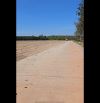 6.900m2 đất skc ngay sát tuyến 2 đồng phú, bình phước