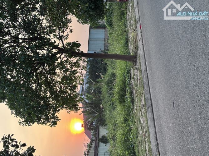 bán gấp nền đất 6m ngang KDC phạm văn hai tân vĩnh lộc - 3